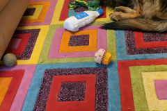 IMG-20210318-WA0013