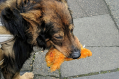 IMG-20220404-WA0003